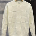Blaise | Men's Textured Crew Neck Knit Sweater