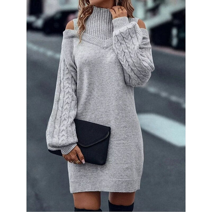 Women's Turtleneck Knit Sweater Dress – Gray